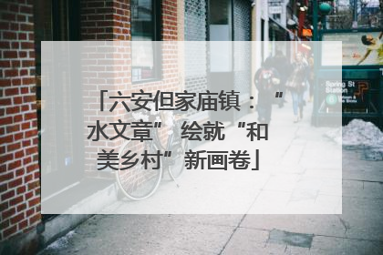 六安但家庙镇：“水文章” 绘就“和美乡村”新画卷
