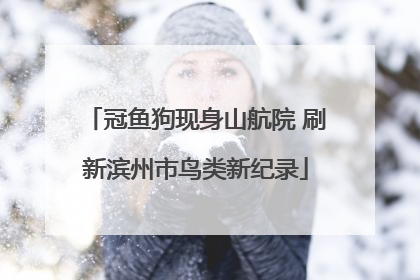 冠鱼狗现身山航院 刷新滨州市鸟类新纪录
