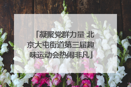 凝聚党群力量 北京大屯街道第三届趣味运动会热闹非凡