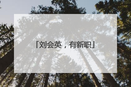 刘会英，有新职