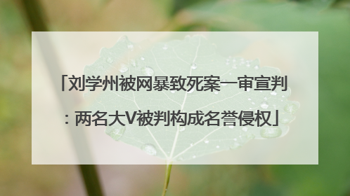 刘学州被网暴致死案一审宣判：两名大V被判构成名誉侵权
