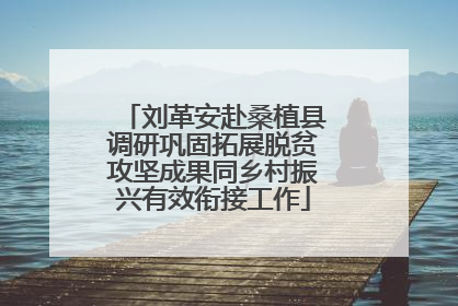 刘革安赴桑植县调研巩固拓展脱贫攻坚成果同乡村振兴有效衔接工作