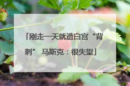 刚走一天就遭白宫“背刺” 马斯克：很失望