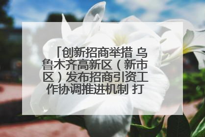 创新招商举措 乌鲁木齐高新区（新市区）发布招商引资工作协调推进机制 打造投资发展新高地