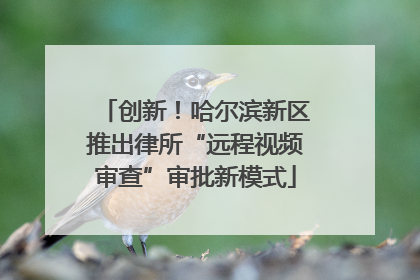 创新！哈尔滨新区推出律所“远程视频审查”审批新模式