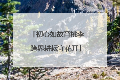 初心如故育桃李 跨界耕耘守花开