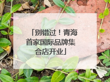 别错过！青海首家国际品牌集合店开业