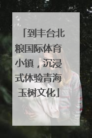 到丰台北粮国际体育小镇，沉浸式体验青海玉树文化
