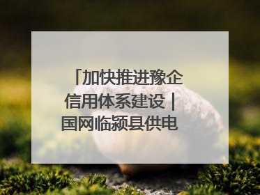 加快推进豫企信用体系建设｜国网临颍县供电公司开展电力行业信用企业现场咨询访谈工作
