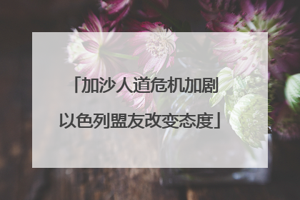 加沙人道危机加剧 以色列盟友改变态度