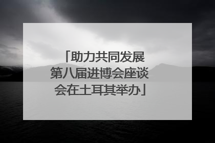 助力共同发展 第八届进博会座谈会在土耳其举办