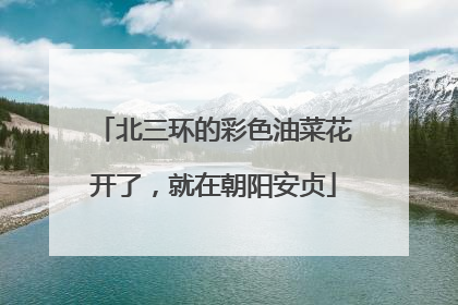 北三环的彩色油菜花开了，就在朝阳安贞