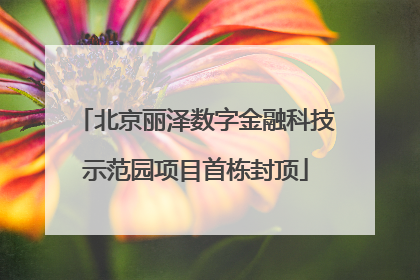 北京丽泽数字金融科技示范园项目首栋封顶