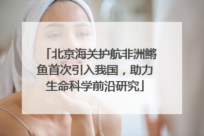 北京海关护航非洲鳉鱼首次引入我国，助力生命科学前沿研究