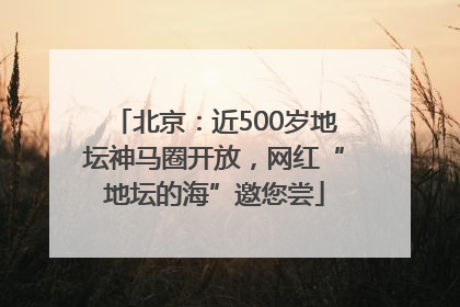 北京：近500岁地坛神马圈开放，网红“地坛的海”邀您尝