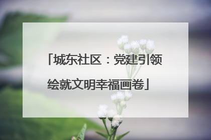 城东社区：党建引领绘就文明幸福画卷