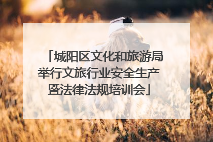 城阳区文化和旅游局举行文旅行业安全生产暨法律法规培训会