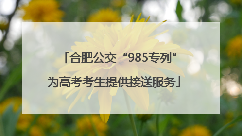 合肥公交“985专列”为高考考生提供接送服务