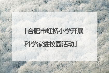 合肥市虹桥小学开展科学家进校园活动