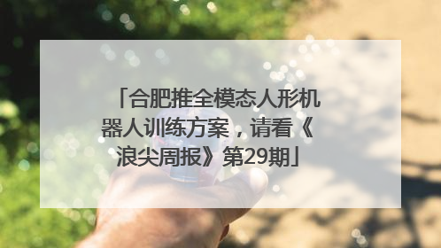 合肥推全模态人形机器人训练方案，请看《浪尖周报》第29期