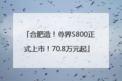 合肥造！尊界S800正式上市！70.8万元起