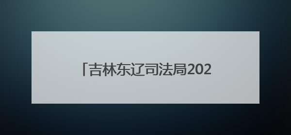 吉林东辽司法局2024年成绩单：调解2000+纠纷，1.7万份普法材料飞入百姓家！