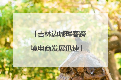 吉林边城珲春跨境电商发展迅速