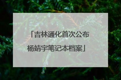 吉林通化首次公布杨靖宇笔记本档案