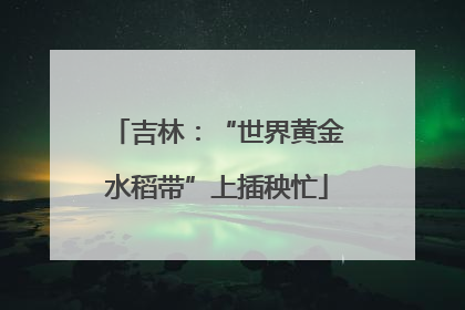 吉林：“世界黄金水稻带”上插秧忙