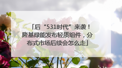 后“531时代”来袭！隆基绿能发布轻质组件，分布式市场后续会怎么走