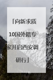 向新求质 10国外籍专家开启西安调研行