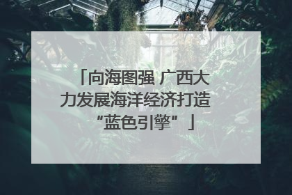 向海图强 广西大力发展海洋经济打造“蓝色引擎”