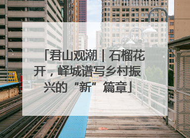 君山观潮｜石榴花开，峄城谱写乡村振兴的“新”篇章