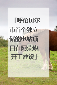 呼伦贝尔市首个独立储能电站项目在阿荣旗开工建设