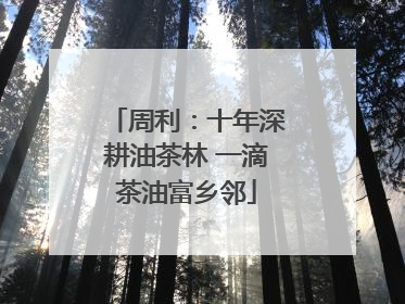 周利：十年深耕油茶林 一滴茶油富乡邻