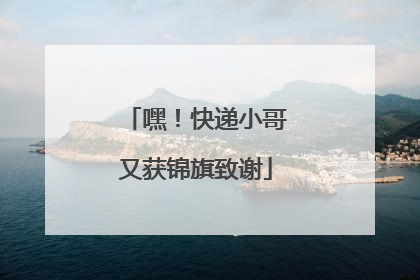 嘿！快递小哥又获锦旗致谢