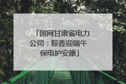 国网甘肃省电力公司：粽香迎端午 保电护安康