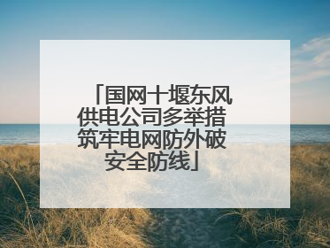 国网十堰东风供电公司多举措筑牢电网防外破安全防线