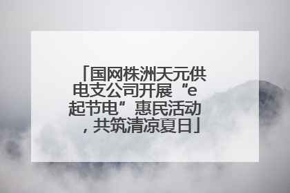 国网株洲天元供电支公司开展“e起节电”惠民活动，共筑清凉夏日