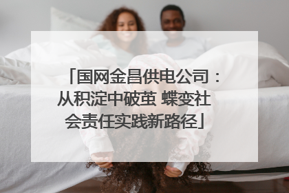 国网金昌供电公司：从积淀中破茧 蝶变社会责任实践新路径