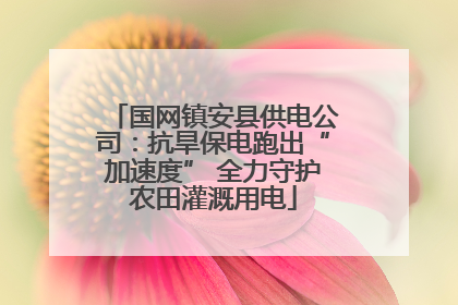 国网镇安县供电公司：抗旱保电跑出“加速度” 全力守护农田灌溉用电