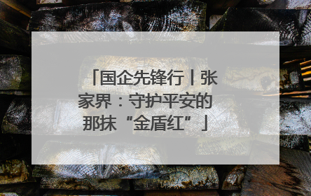国企先锋行丨张家界：守护平安的那抹“金盾红”