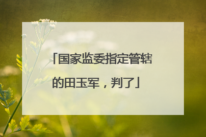 国家监委指定管辖的田玉军，判了