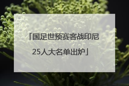 国足世预赛客战印尼25人大名单出炉