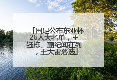 国足公布东亚杯26人大名单，王钰栋、蒯纪闻在列，王大雷落选