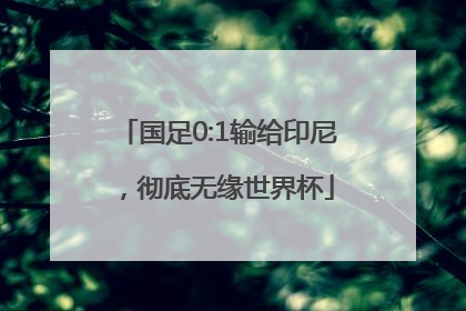 国足0:1输给印尼，彻底无缘世界杯