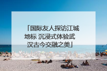 国际友人探访江城地标 沉浸式体验武汉古今交融之美