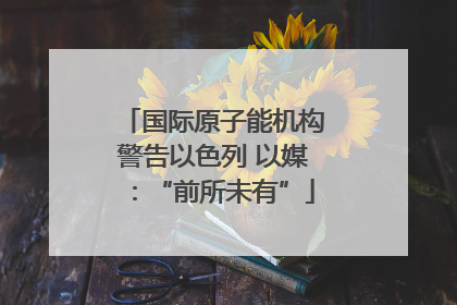 国际原子能机构警告以色列 以媒：“前所未有”