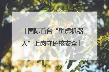 国际首台“壁虎机器人”上岗守护核安全