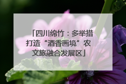 四川绵竹：多举措打造“酒香画境”农文旅融合发展区